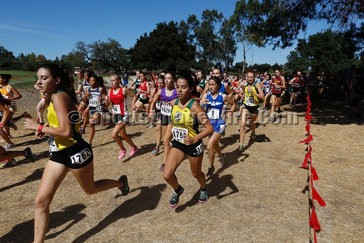 2015SIxcHSD3-098.JPG - 2015 Stanford Cross Country Invitational, September 26, Stanford Golf Course, Stanford, California.